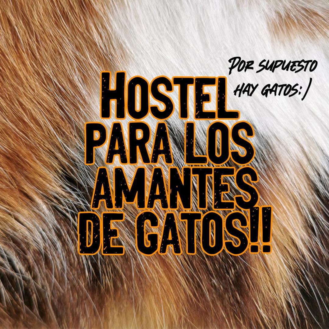 Posada De Los Gatos Bed & Breakfast Puerto Natales Bagian luar foto